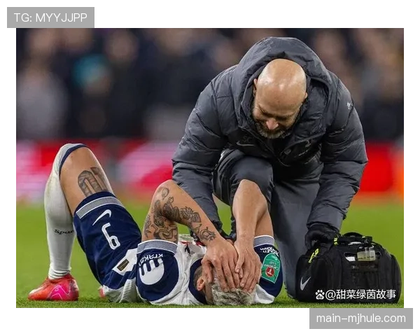 热刺连续八场不胜 伤病潮加速球队排名下滑趋势